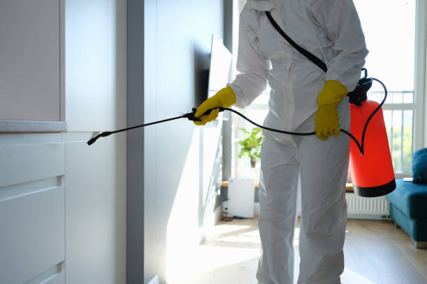 Best Residential Mold Remediation in Blanchester, OH